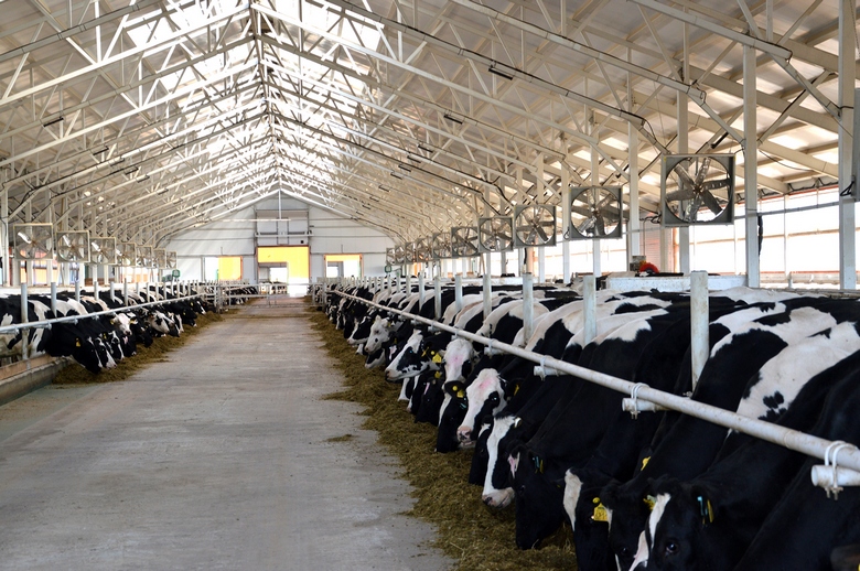 посчитали крупный рогатый скот.jpg