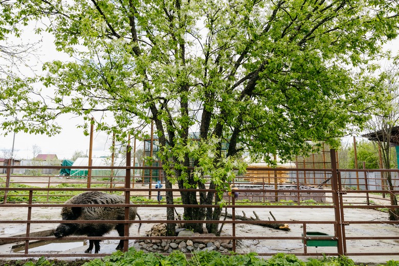 Юна.jpg