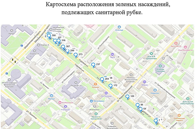 О санитарной рубке Липовая алея 10.09.26_page-0004.jpg